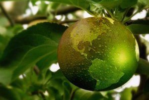 duurzaamheid babymarkt