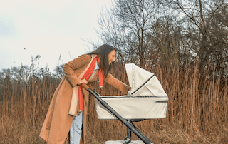 Hummingbird kinderwagen