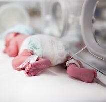 premature baby
