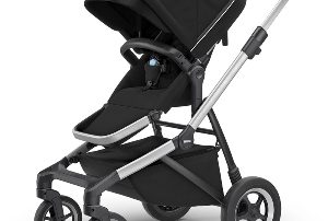rapex recall thule sleek