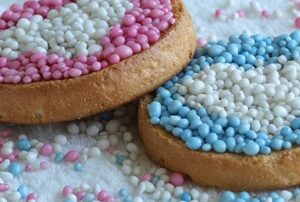 beschuit met muisjes