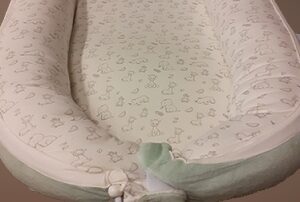dreambee babynest veiligheidwaarschuwing