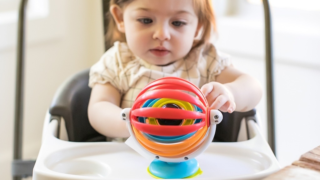 edugro baby einstein