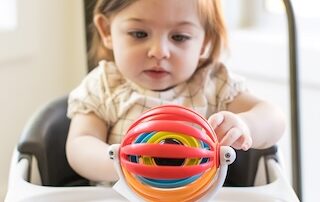 edugro baby einstein