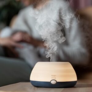 baby on the move humidifier