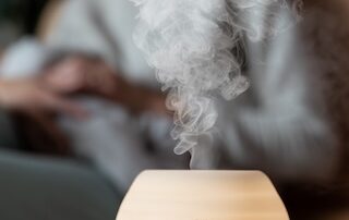 baby on the move humidifier