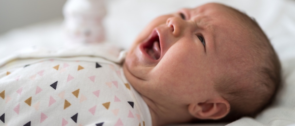 kinkhoest baby kinkhoest baby