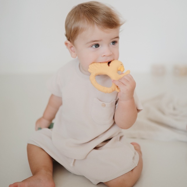 natruba speelgoed ecologisch verantwoord