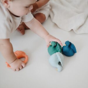 natruba speelgoed ecologisch verantwoord