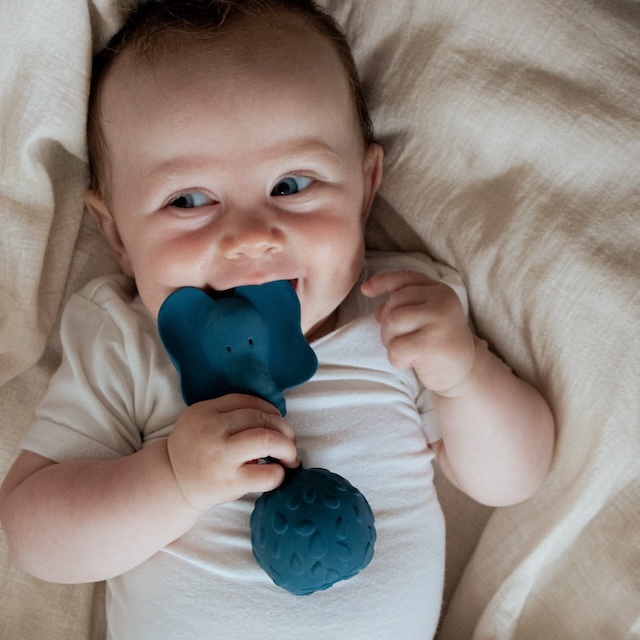 natruba speelgoed ecologisch verantwoord