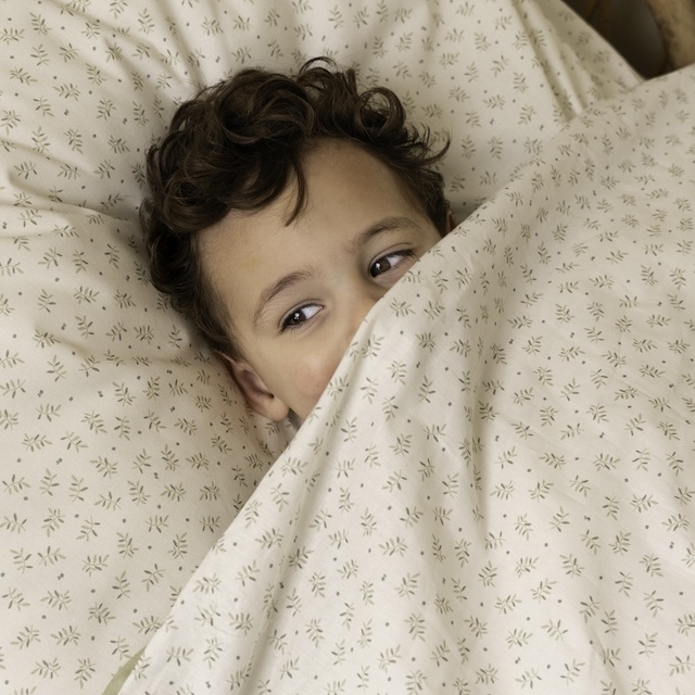 Little Dutch Blueberry leaves