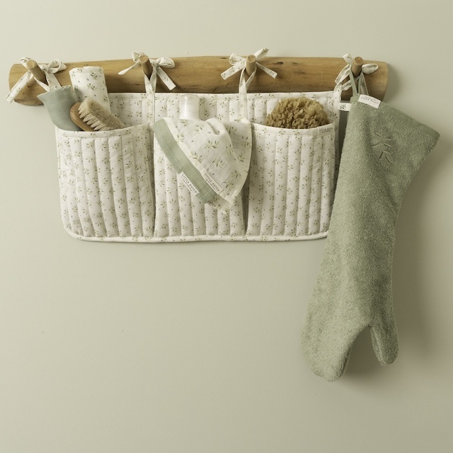 Little Dtuch Blueberry leaves