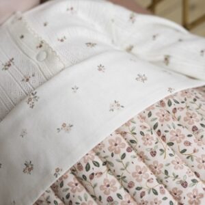 little dutch fairy garden