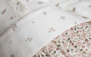 little dutch fairy garden