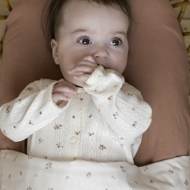 Little Dutch fairy garden