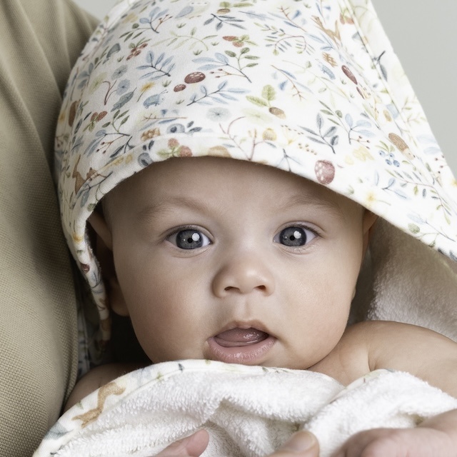 Little Dutch Forest Friends