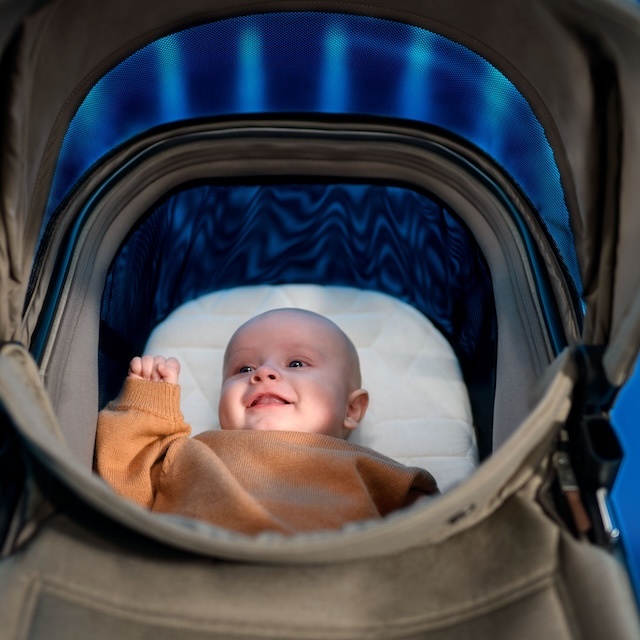 maxi-cosi Fame kinderwagen maxi-cosi Fame kinderwagen