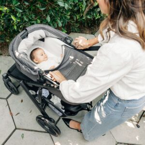 UPPAbaby Vista V3