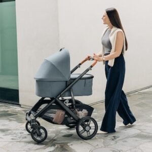 UPPAbaby Vista V3