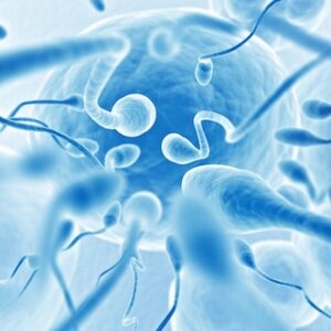 spermadonor