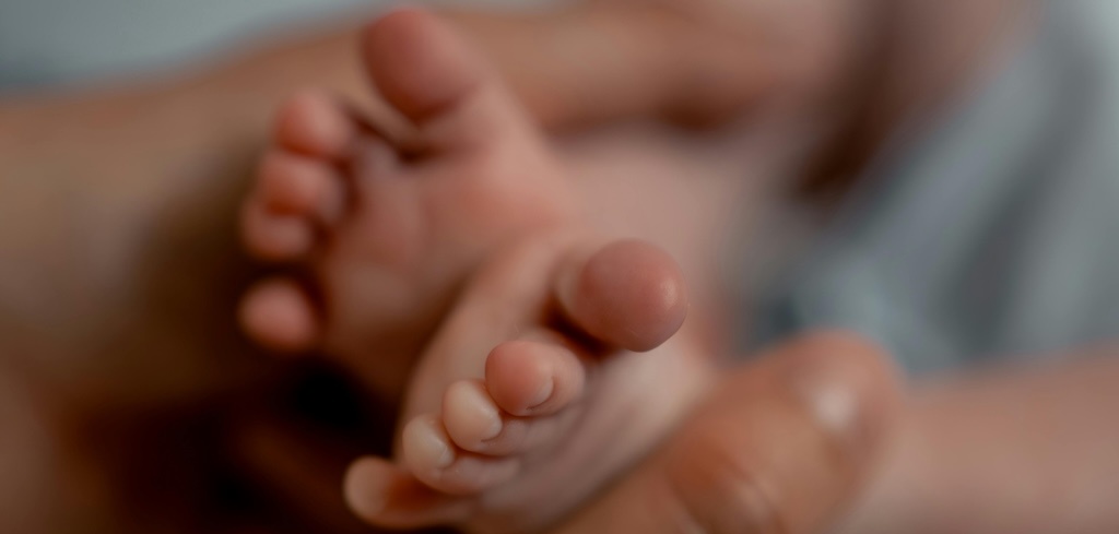 getransplanteerde baarmoeder