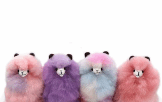 knuffel