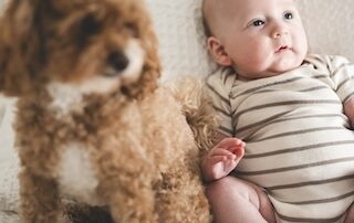 hond en baby