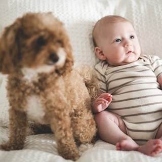 hond en baby