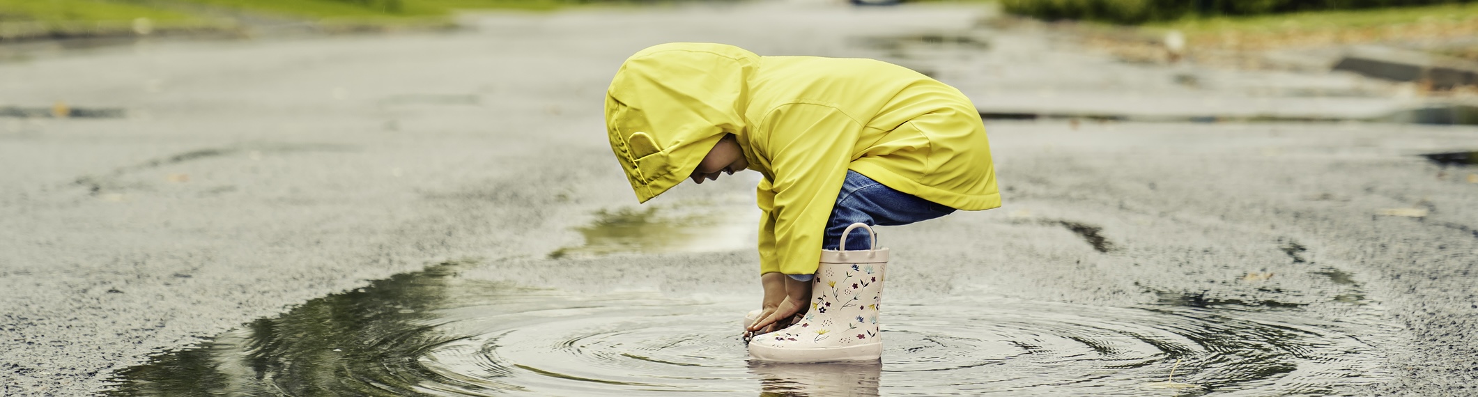 regen